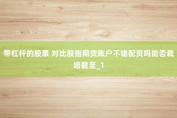 带杠杆的股票 对比股指期货账户不错配资吗能否栽培截至_1