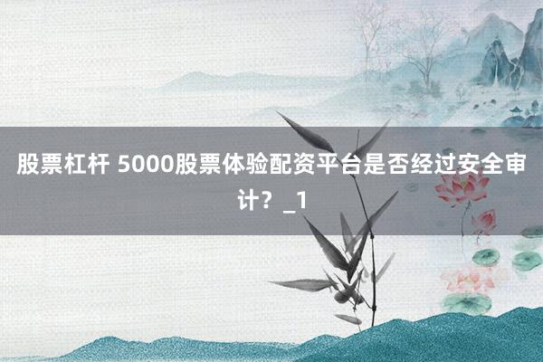 股票杠杆 5000股票体验配资平台是否经过安全审计？_1
